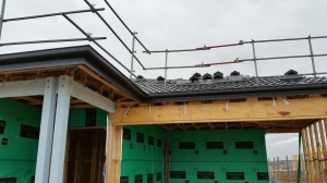 Roof and guttering 